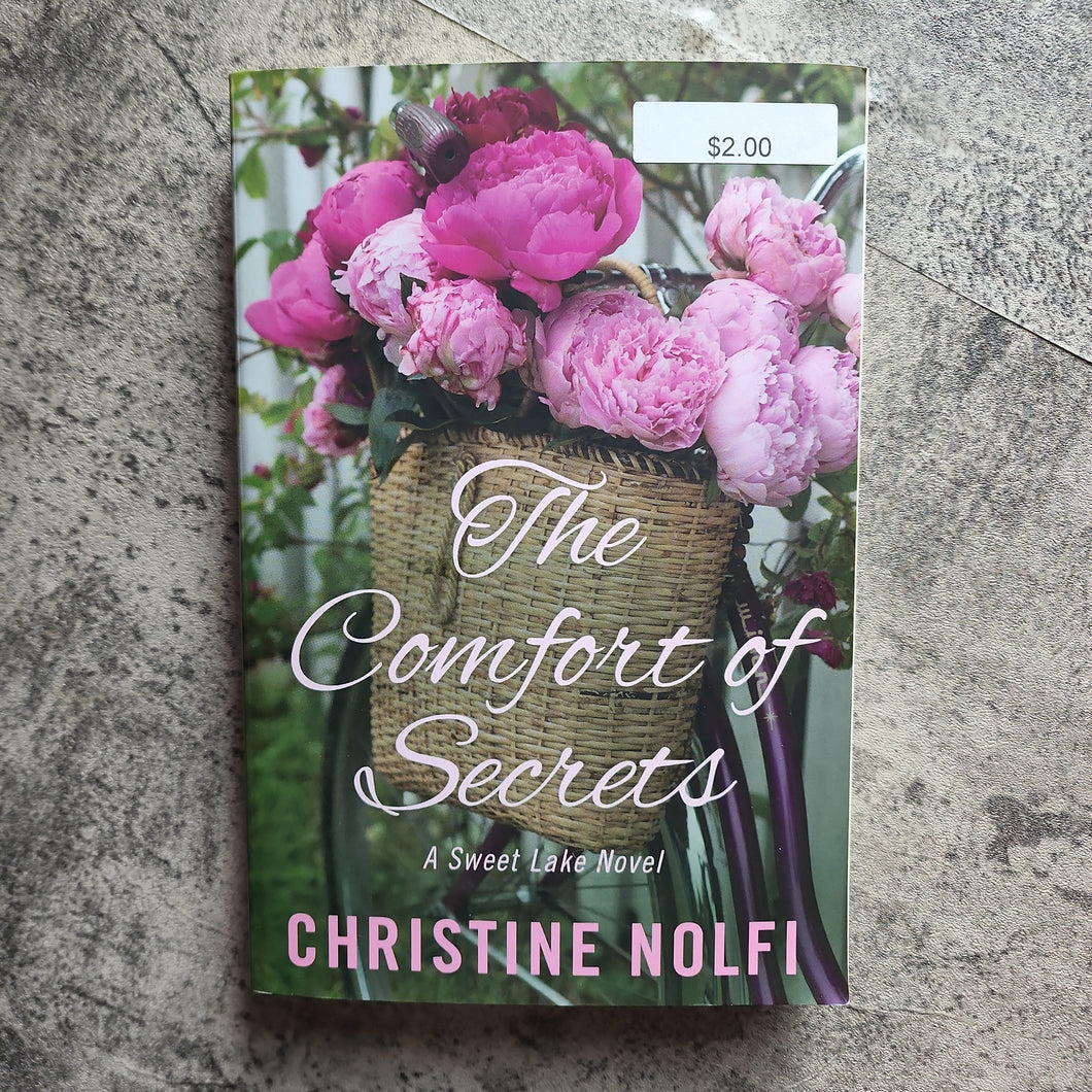 The Comfort of Secrets (Book 2 )