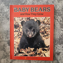 Load image into Gallery viewer, Baby Bears and how they grow
